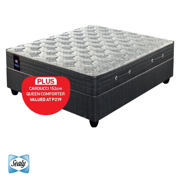 Picture of Sealy Arabusch 152cm Queen Firm Base Set