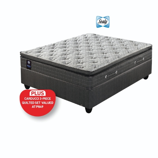Picture of Sealy Canyon 152cm Queen Plush Base Set