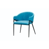 Picture of Rhodes Dining Chair - Green