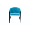 Picture of Rhodes Dining Chair - Green